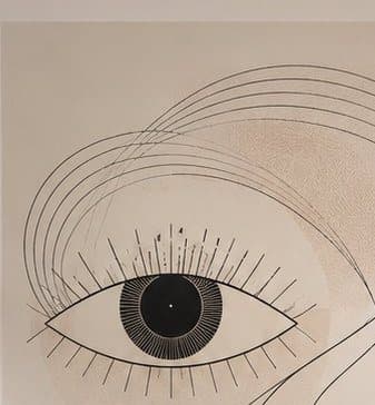 Detail: oog in fijne lijnen