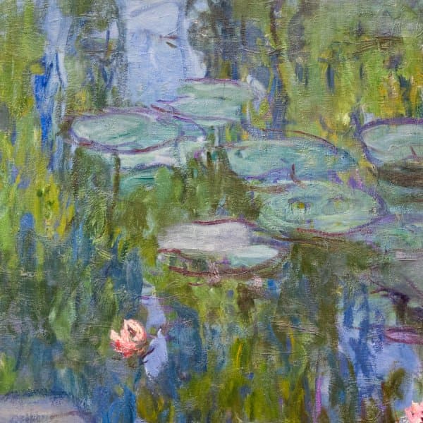 Detail: Waterlelies